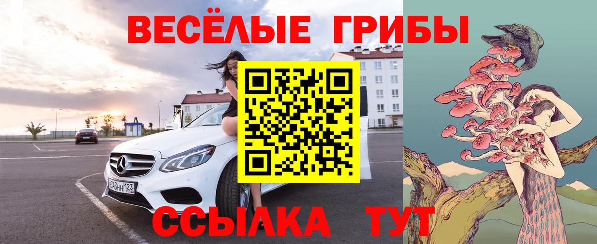 Псилоцибиновые грибы GOLDEN TEACHER Сорочинск