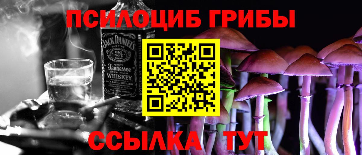 Сорочинск  Псилоцибиновые грибы прущие грибы  где можно купить наркотик  Галлюциногенные грибы MAGIC MUSHROOMS  Вход с VPN 