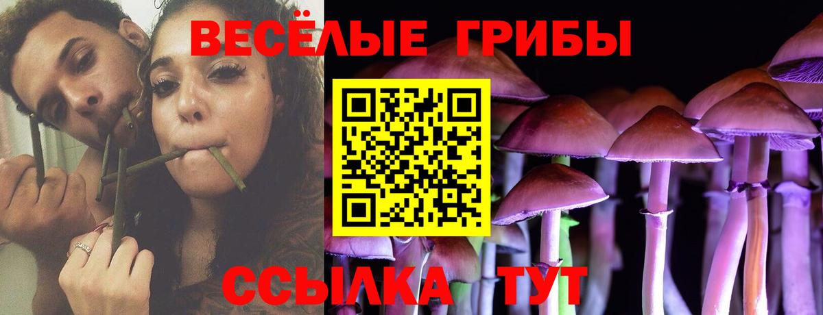 Псилоцибиновые грибы MAGIC MUSHROOMS  цена наркотик  Сорочинск 