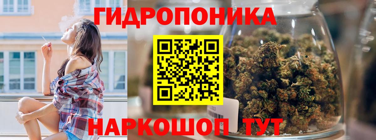Канабис планчик  Сорочинск  Бошки Шишки гибрид  Шишки марихуана White Widow 